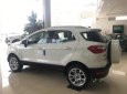 Ford EcoSport 2018 - Bán Ford EcoSport sản xuất 2018, màu trắng