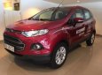 Ford EcoSport 2017 - Bán Ford EcoSport đời 2017, màu đỏ, 610tr