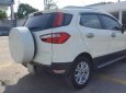 Ford EcoSport 2016 - Cần bán Ford EcoSport sản xuất năm 2016