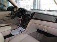 Cadillac Escalade  Plantinum 2008 - Bán Cadillac Escalade Plantinum sản xuất 2008, màu bạc, xe nhập