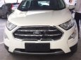 Ford EcoSport 2018 - Bán Ford EcoSport sản xuất 2018, màu trắng