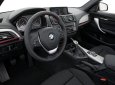 BMW 1 Series 116i  2014 - Cần bán BMW 1 Series 116i đời 2014, nhập khẩu ít sử dụng