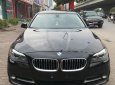 BMW 5 Series 535i 2014 - Bán BMW 5 Series 535i đời 2014, màu đen, xe nhập