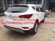 Hyundai Santa Fe 2018 - Bán xe Hyundai Santa Fe đời 2018, màu trắng, nhập khẩu chính hãng, giá chỉ 898 triệu