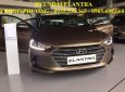 Hyundai Elantra 2018 - Bán ô tô Hyundai Elantra đời 2018, màu nâu, nhập khẩu nguyên chiếc, 549tr