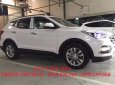 Hyundai Santa Fe 2018 - Bán xe Hyundai Santa Fe đời 2018, màu trắng, nhập khẩu chính hãng, giá chỉ 898 triệu