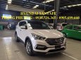 Hyundai Santa Fe 2018 - Bán xe Hyundai Santa Fe đời 2018, màu trắng, nhập khẩu chính hãng, giá chỉ 898 triệu