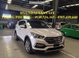 Hyundai Santa Fe 2018 - Bán xe Hyundai Santa Fe đời 2018, màu trắng, nhập khẩu chính hãng, giá chỉ 898 triệu