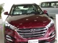 Hyundai Tucson 2018 - Hyundai Tucson mới 2018 các phiên bản, khuyến mãi lớn, giá cả cạnh tranh, uy tín hàng đầu