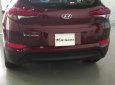 Hyundai Tucson 2018 - Hyundai Tucson mới 2018 các phiên bản, khuyến mãi lớn, giá cả cạnh tranh, uy tín hàng đầu