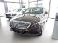 Mercedes-Benz C class C250 2018 - Bán Mercedes C250 đời 2018, màu nâu