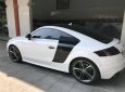 Audi TT 2010 - Bán xe Audi TT sản xuất 2010, màu trắng, nhập khẩu, giá 860tr