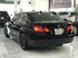 BMW 5 Series 520i 2014 - Cần bán BMW 5 Series 520i 2014, màu đen, xe nhập