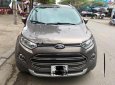 Ford EcoSport Titanium 2015 - Chính chủ bán Ford EcoSport Titanium đời 2015, màu xám