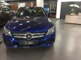 Mercedes-Benz C class C200 2018 - Bán Mercedes C200 sản xuất năm 2018, màu xanh lam