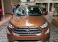 Ford EcoSport Titanium 1.5L AT 2018 - Bán ô tô Ford EcoSport 2018, màu nâu, giá 648tr