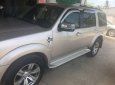 Ford Everest    2010 - Bán xe Ford Everest năm 2010, màu xám  