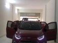 Ford EcoSport   Tatinum   2015 - Bán Ford EcoSport Tatinum sản xuất 2015, màu đỏ, 525tr