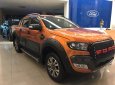 Ford Ranger 2018 - Cần bán Ford Ranger đời 2018, nhập khẩu, 925 triệu