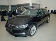 Volkswagen Passat Bluemotion 2017 - Bán xe Volkswagen Passat Bluemotion sản xuất 2017, màu đen, nhập khẩu nguyên chiếc