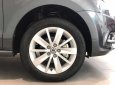 Volkswagen Polo 1.6L PDI   2017 - Cần bán Volkswagen Polo 1.6L PDI đời 2017, xe nhập