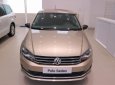 Volkswagen Polo 1.6L PDI   2017 - Bán Volkswagen Polo 1.6L PDI đời 2017, màu nâu, nhập khẩu chính hãng, giá 699tr