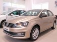 Volkswagen Polo 1.6L PDI   2017 - Bán Volkswagen Polo 1.6L PDI đời 2017, màu nâu, nhập khẩu chính hãng, giá 699tr