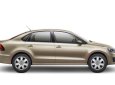 Volkswagen Polo 1.6L PDI   2017 - Bán Volkswagen Polo 1.6L PDI đời 2017, màu nâu, nhập khẩu chính hãng, giá 699tr