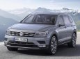 Volkswagen Tiguan Tiguan Allspace 2019 - (ĐẠT DAVID) Bán Volkswagen Tiguan Allspace, (nhiều màu sắc lựa chọn cho khách hàng), nhập khẩu mới 100% LH: 0933.365.188