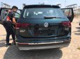 Volkswagen Tiguan Tiguan Allspace 2019 - (ĐẠT DAVID) Bán Volkswagen Tiguan Allspace 2019 (màu sắc phong phú đa dạng), nhập khẩu mới 100% LH: 0933.365.188