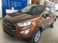 Ford EcoSport 1.0 AT 2018 - Cần bán Ford EcoSport 1.0 AT đời 2018, màu nâu