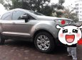 Ford EcoSport Titanium 1.5L AT 2016 - Chính chủ bán Ford EcoSport Titanium 1.5L AT 2016, màu xám