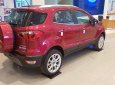 Ford EcoSport Titanium 1.5L 2018 - Lái thử cảm nhận và đặt xe với khuyến mại lớn tại An Đô Ford cho xe Ford Ecosport Titanium 1.5 màu đỏ