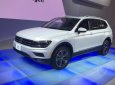 Volkswagen Tiguan Mass 2016 - Bán Volkswagen Tiguan sản xuất năm 2016, màu trắng, nhập khẩu nguyên chiếc