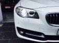 BMW 5 Series 520i 2015 - Bán BMW 5 Series 520i năm 2015, màu trắng, xe nhập