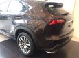 Lexus 200T 2016 - Bán Lexus NX 200t 2016, màu trắng, nhập khẩu nguyên chiếc