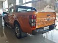 Ford Ranger Wildtrak 3.2 2017 - Bán xe Ford Ranger Wildtrak 3.2 2018, nhập khẩu, 925 triệu