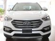Hyundai Santa Fe 2018 - Hyundai Santa Fe 2.4 máy xăng phiên bản đặc biệt- 2018