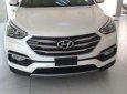 Hyundai Santa Fe 2018 - Bán ô tô Hyundai Santa Fe đời 2018