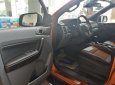 Ford Ranger Wildtrak 3.2 2017 - Bán xe Ford Ranger Wildtrak 3.2 2018, nhập khẩu, 925 triệu