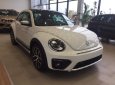 Volkswagen Beetle Dune 2.0 TSI 2018 - Bán xe Volkswagen Beetle Dune 2.0 TSI đời 2018, màu trắng, xe nhập