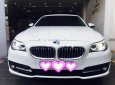 BMW 5 Series 520i 2015 - Bán BMW 5 Series 520i năm 2015, màu trắng, xe nhập