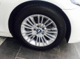 BMW 5 Series 520i 2015 - Bán BMW 5 Series 520i năm 2015, màu trắng, xe nhập