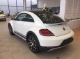 Volkswagen Beetle Dune 2.0 TSI 2018 - Bán xe Volkswagen Beetle Dune 2.0 TSI đời 2018, màu trắng, xe nhập