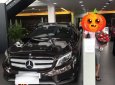 Mercedes-Benz 2016 - Bán xe Mercedes 2016, màu nâu, nhập khẩu nguyên chiếc