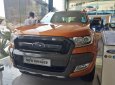 Ford Ranger Wildtrak 3.2 2017 - Bán xe Ford Ranger Wildtrak 3.2 2018, nhập khẩu, 925 triệu