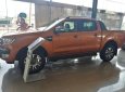 Ford Ranger Wildtrak 3.2 2017 - Bán xe Ford Ranger Wildtrak 3.2 2018, nhập khẩu, 925 triệu