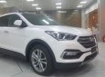 Hyundai Santa Fe 2018 - Bán ô tô Hyundai Santa Fe đời 2018