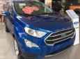 Ford EcoSport   2018 - Cần bán xe Ford EcoSport sản xuất năm 2018, giá chỉ 600 triệu