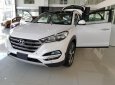 Hyundai Tucson 1.6 AT Turbo 2018 - Bán ô tô Hyundai Tucson 1.6 AT Turbo năm sản xuất 2018, màu trắng, giá tốt